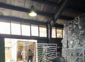 تداوم تجهیز کارخانجات جوجه کشی
